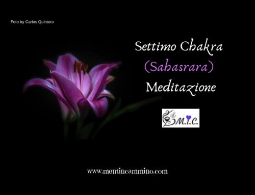 Settimo Chakra meditazione
